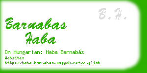 barnabas haba business card